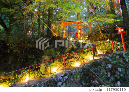 貴船神社の石階段灯篭紅葉ライトアップ写真 117930110