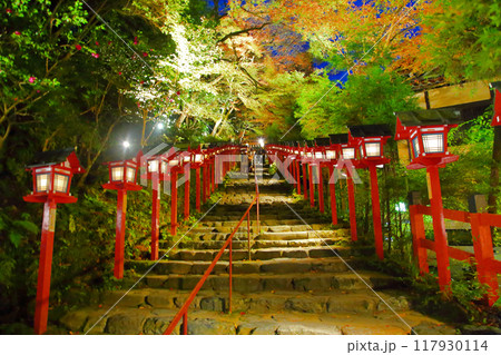 貴船神社の石階段灯篭紅葉ライトアップ写真 貴船神社の石階段灯篭紅葉ライトアップ写真 117930114