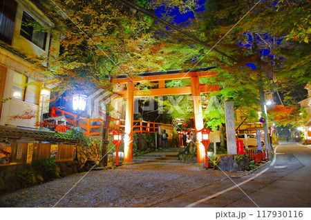 貴船神社の境内入り口の鳥居紅葉ライトアップ写真 117930116