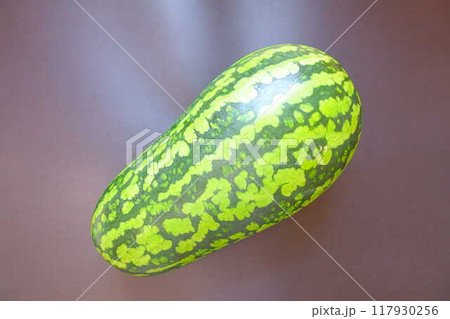 スイカ　すいか　西瓜　うり坊 117930256