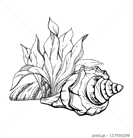 Marine life, sea ocean underwater creatures fish, shells algae seaweed, Ink and pen sketch hand drawn. Composition illustration, stylized, isolated on white. For zoo shop, aquarium, cosmetics, resort 117930299