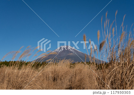 冠雪の始まった富士山 冠雪の始まった富士山 117930303