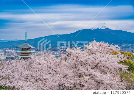 【静岡県】桜満開の香貫山・慰霊平和塔 後方に富士山 【静岡県】桜満開の香貫山・慰霊平和塔 後方に富士山 117930574
