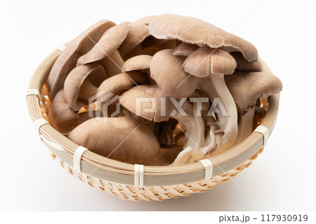 竹かごに盛られたヒラタケ 117930919