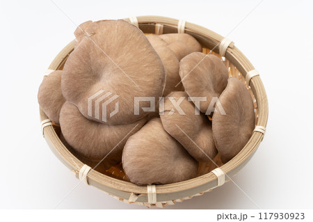 竹かごに盛られたヒラタケ 竹かごに盛られたヒラタケ 117930923