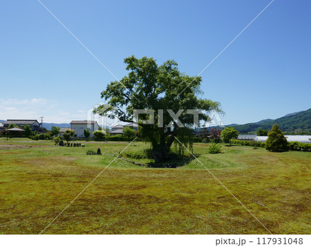 丸岡城 (山形県鶴岡市) 丸岡城 (山形県鶴岡市) 117931048