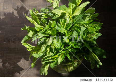 Mint green leaves, bouquet. 117931118