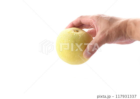 シャキッとした食感 二十世紀梨 ( 白背景 ) シャキッとした食感 二十世紀梨 ( 白背景 ) 117931337