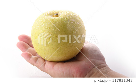 シャキッとした食感 二十世紀梨 ( 白背景 ) シャキッとした食感 二十世紀梨 ( 白背景 ) 117931345