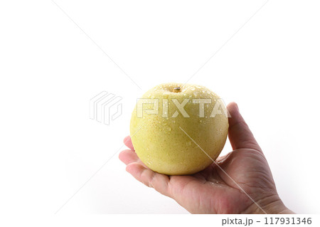 シャキッとした食感 二十世紀梨 ( 白背景 ) シャキッとした食感 二十世紀梨 ( 白背景 ) 117931346