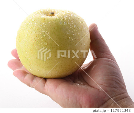 シャキッとした食感 二十世紀梨 （ 白背景 ） 117931348