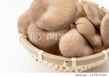 ヒラタケのクローズアップ ヒラタケのクローズアップ 117931424