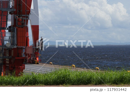 青海付近から見た東京湾の風景 117931442