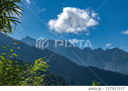 夏山 夏山 117931537