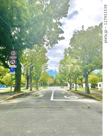 秋の青空の下 公園風景 秋の青空の下 公園風景 117931539