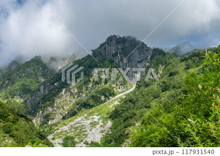 夏山 夏山 117931540