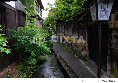 緑がきれいな雨の日のいがわ小径 117931685