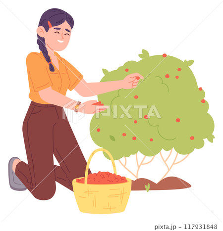Girl picking berries from bush. Garden harvest illustration 117931848