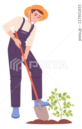 Farmer digging plant from ground. Planting seedling 117931855