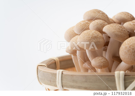 ブナシメジのクローズアップ 117932018