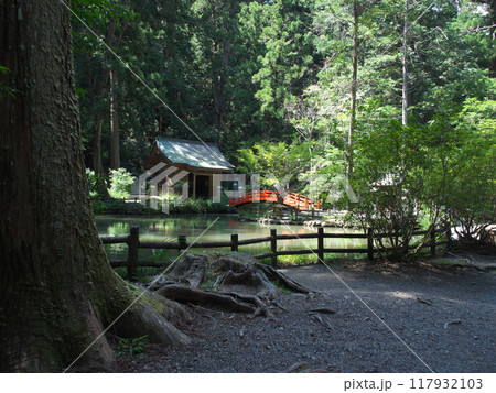 静岡県 周智郡 小國神社 8月 晴れ 事待池 八王子社 静岡県 周智郡 小國神社 8月 晴れ 事待池 八王子社 117932103