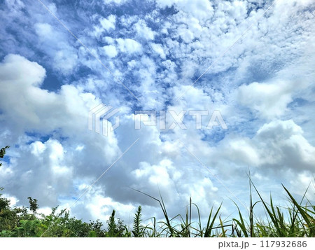 夏の空と白い雲 117932686