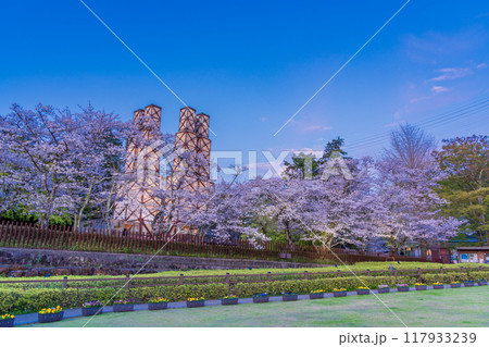【静岡県】桜が咲いた韮山反射炉　ライトアップ　夕景 117933239