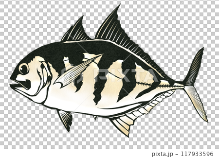 大眼竹莢魚的剪紙插圖,您會很高興抓住它 大眼竹莢魚的剪紙插圖,您會很高興抓住它 117933596