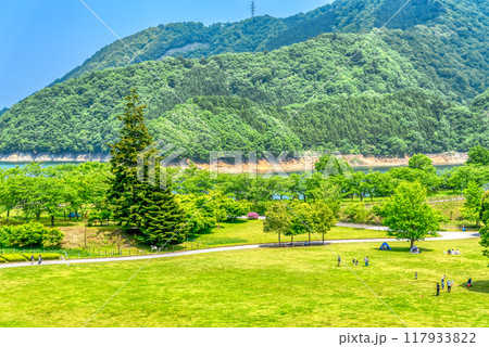 春の宮ヶ瀬湖畔園地　神奈川県 117933822