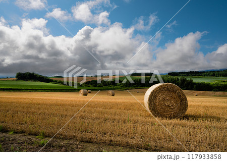 収穫を終えた麦畑の麦稈ロール 収穫を終えた麦畑の麦稈ロール 117933858