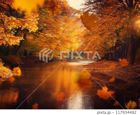 紅葉のある風景 紅葉のある風景 117934482
