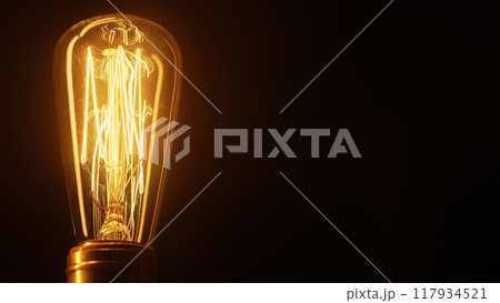 Real classic antique Edison Tungsten filament lamp glowing, vintage retro lightbulb. Creative idea 117934521