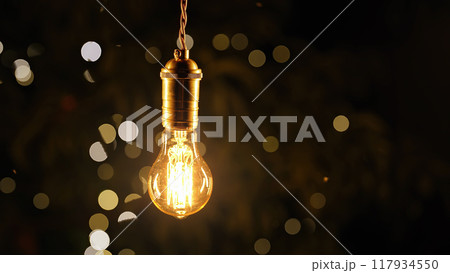 Decorative old Edison Tungsten filament lamp hanging outdoors in garden, glowing, vintage lightbulb Decorative old Edison Tungsten filament lamp hanging outdoors in garden, glowing, vintage lightbulb 117934550