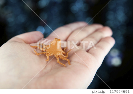 image of octopus hand dark background 117934691