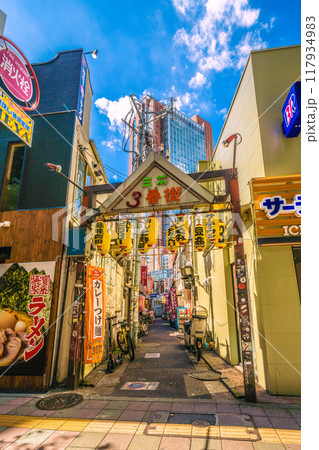 日本の東京都市景観　8月。三軒茶屋駅すぐの飲み屋街「三茶3番街」（三軒茶屋三角地帯）などを望む 117934983