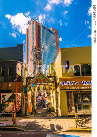 日本の東京都市景観 8月。三軒茶屋駅すぐの飲み屋街「三茶3番街」(三軒茶屋三角地帯)などを望む 日本の東京都市景観 8月。三軒茶屋駅すぐの飲み屋街「三茶3番街」(三軒茶屋三角地帯)などを望む 117934984