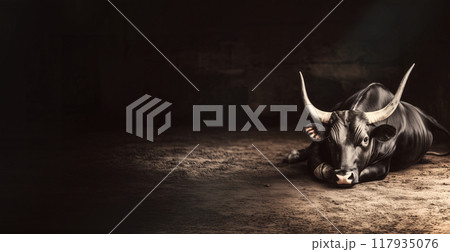 暗い牛舎で黒い雄牛が地面に力なく座っている 117935076