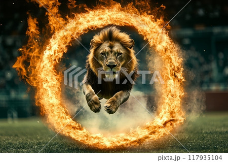 Lion jumping through a ring of fire in a stadium Lion jumping through a ring of fire in a stadium 117935104