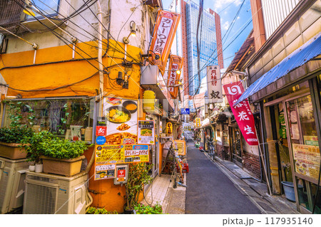 日本の東京都市景観　8月。三軒茶屋駅すぐの飲み屋街「三茶3番街」（三軒茶屋三角地帯）などを望む 117935140