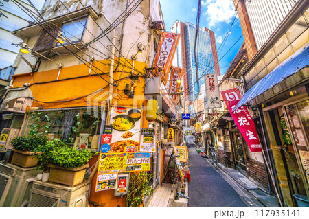 日本の東京都市景観　8月。三軒茶屋駅すぐの飲み屋街「三茶3番街」（三軒茶屋三角地帯）などを望む 117935141