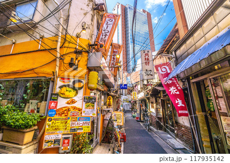 日本の東京都市景観　8月。三軒茶屋駅すぐの飲み屋街「三茶3番街」（三軒茶屋三角地帯）などを望む 117935142