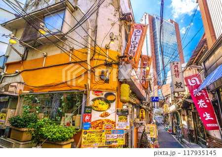 日本の東京都市景観　8月。三軒茶屋駅すぐの飲み屋街「三茶3番街」（三軒茶屋三角地帯）などを望む 117935145