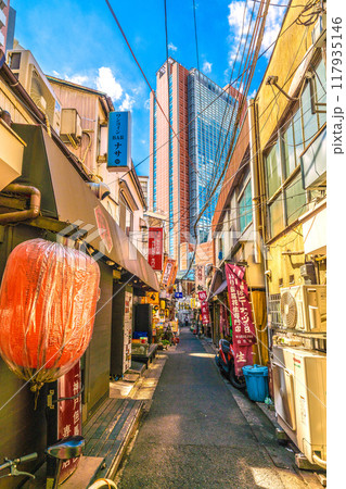 日本の東京都市景観　8月。三軒茶屋駅すぐの飲み屋街「三茶3番街」（三軒茶屋三角地帯）などを望む 117935146