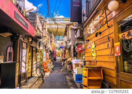 日本の東京都市景観 8月。三軒茶屋駅すぐの飲み屋街「三茶3番街」(三軒茶屋三角地帯)などを望む 日本の東京都市景観 8月。三軒茶屋駅すぐの飲み屋街「三茶3番街」(三軒茶屋三角地帯)などを望む 117935281