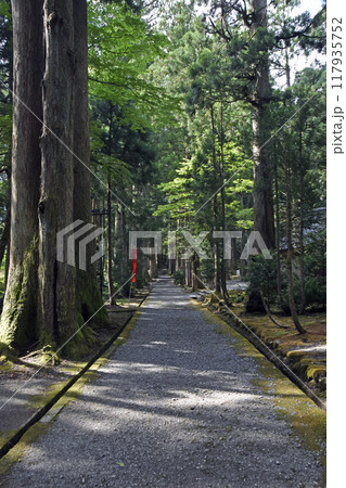 雄山神社芦倉中宮祈願殿の参道(富山県立山町) 雄山神社芦倉中宮祈願殿の参道(富山県立山町) 117935752