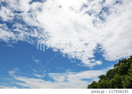 夏の雲と木立 夏の雲と木立 117936291