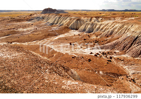Harsh Landscape Petrified Forest National Park Arizona Harsh Landscape Petrified Forest National Park Arizona 117936299