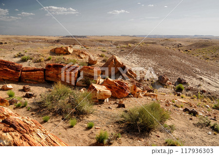 Harsh Landscape Petrified Forest National Park Arizona Harsh Landscape Petrified Forest National Park Arizona 117936303