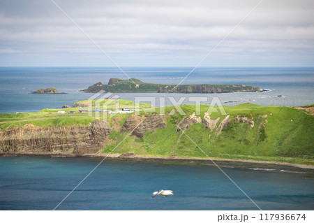 礼文島のスコトン岬とトド島 礼文島のスコトン岬とトド島 117936674