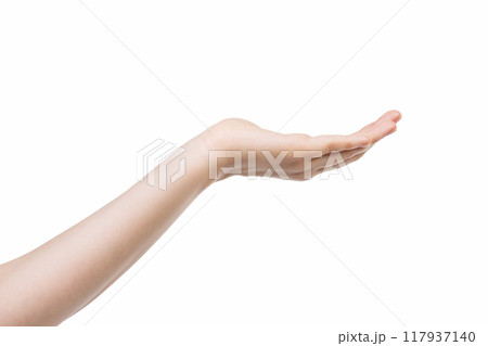 Female hand isolated on white background holding something 117937140